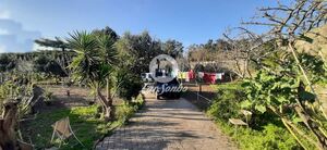 Quinta T3 - Touguinha, Vila do Conde, Porto - Miniatura: 1/7