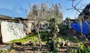 Quinta T3 - Touguinha, Vila do Conde, Porto - Miniatura: 2/7
