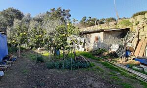 Quinta T3 - Touguinha, Vila do Conde, Porto - Miniatura: 3/7