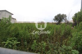 Terreno Rstico - Vila do Conde, Vila do Conde, Porto - Miniatura: 2/4