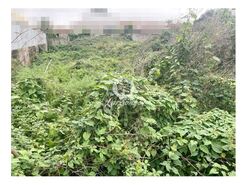 Terreno R�stico - CORONADO, Trofa, Porto - Miniatura: 3/3