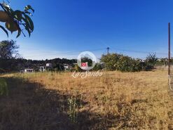 Terreno R�stico - Aves, Santo Tirso, Porto - Miniatura: 3/11