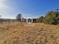 Terreno R�stico - Aves, Santo Tirso, Porto - Miniatura: 4/11