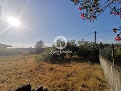 Terreno R�stico - Aves, Santo Tirso, Porto - Miniatura: 5/11