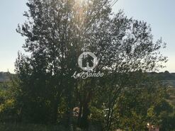 Terreno R�stico - Aves, Santo Tirso, Porto - Miniatura: 10/11