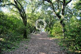 Quinta T6 - Castelo do Neiva, Viana do Castelo, Viana do Castelo - Miniatura: 1/16