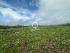 Terreno Rstico - Gio, Vila do Conde, Porto - Miniatura: 4/15