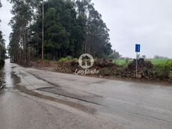 Terreno R�stico - Modivas, Vila do Conde, Porto - Miniatura: 1/1