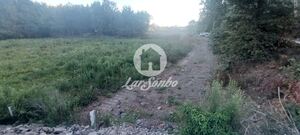 Terreno R�stico - Ribeir�o, Vila Nova de Famalic�o, Braga - Miniatura: 1/5