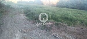 Terreno R�stico - Ribeir�o, Vila Nova de Famalic�o, Braga - Miniatura: 2/5