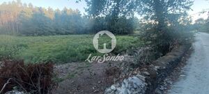 Terreno R�stico - Ribeir�o, Vila Nova de Famalic�o, Braga - Miniatura: 3/5