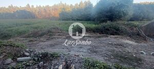 Terreno R�stico - Ribeir�o, Vila Nova de Famalic�o, Braga - Miniatura: 4/5