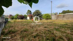 Terreno R�stico - Aves, Santo Tirso, Porto - Miniatura: 5/19