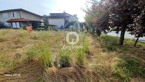 Terreno R�stico - Aves, Santo Tirso, Porto - Miniatura: 15/19