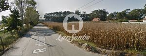 Terreno R�stico - P�voa de Varzim, P�voa de Varzim, Porto - Miniatura: 1/4