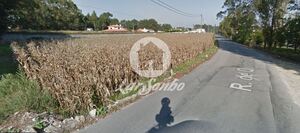 Terreno R�stico - P�voa de Varzim, P�voa de Varzim, Porto - Miniatura: 3/4