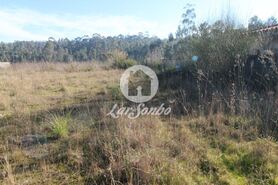 Terreno R�stico - Junqueira, Vila do Conde, Porto - Miniatura: 2/4