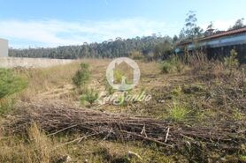 Terreno R�stico - Junqueira, Vila do Conde, Porto - Miniatura: 4/4