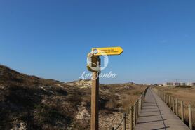 Terreno R�stico - Mindelo, Vila do Conde, Porto - Miniatura: 4/5