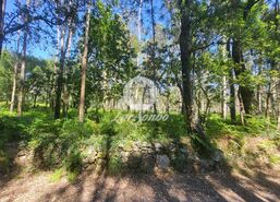 Terreno R�stico - Gi�o, Vila do Conde, Porto - Miniatura: 1/5