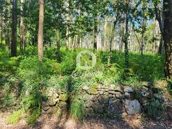 Terreno R�stico - Gi�o, Vila do Conde, Porto - Miniatura: 2/5
