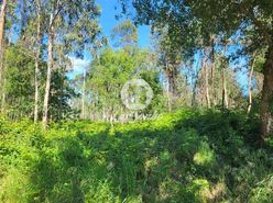 Terreno R�stico - Gi�o, Vila do Conde, Porto - Miniatura: 4/5