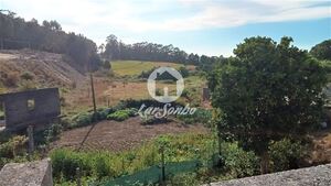 Terreno R�stico - Lemenhe, Vila Nova de Famalic�o, Braga - Miniatura: 4/9