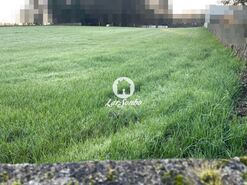 Terreno R�stico - Balazar, P�voa de Varzim, Porto - Miniatura: 4/6