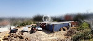 Terreno R�stico - Bougado, Trofa, Porto - Miniatura: 9/13