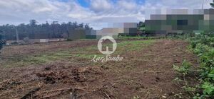 Terreno R�stico - Rio Mau, Vila do Conde, Porto - Miniatura: 3/14