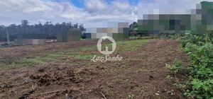 Terreno R�stico - Rio Mau, Vila do Conde, Porto - Miniatura: 5/14