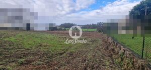 Terreno R�stico - Rio Mau, Vila do Conde, Porto - Miniatura: 6/14