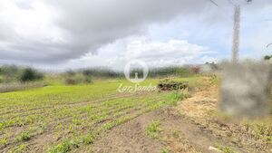 Terreno R�stico - Junqueira, Vila do Conde, Porto - Miniatura: 1/17