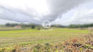 Terreno R�stico - Junqueira, Vila do Conde, Porto - Miniatura: 2/17