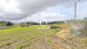 Terreno R�stico - Junqueira, Vila do Conde, Porto - Miniatura: 5/17