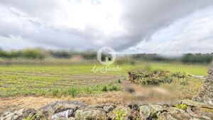 Terreno R�stico - Junqueira, Vila do Conde, Porto - Miniatura: 7/17