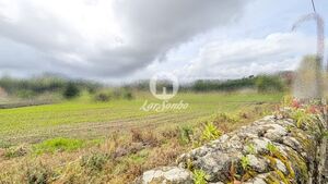 Terreno R�stico - Junqueira, Vila do Conde, Porto - Miniatura: 8/17