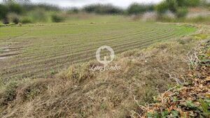 Terreno R�stico - Junqueira, Vila do Conde, Porto - Miniatura: 9/17