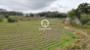 Terreno R�stico - Junqueira, Vila do Conde, Porto - Miniatura: 14/17