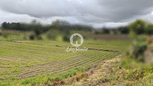 Terreno R�stico - Junqueira, Vila do Conde, Porto - Miniatura: 15/17