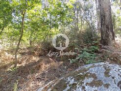 Terreno R�stico - Arnoso, Vila Nova de Famalic�o, Braga - Miniatura: 1/8