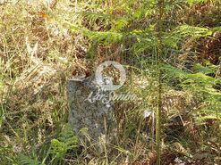 Terreno R�stico - Arnoso, Vila Nova de Famalic�o, Braga - Miniatura: 2/8