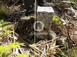 Terreno R�stico - Arnoso, Vila Nova de Famalic�o, Braga - Miniatura: 3/8