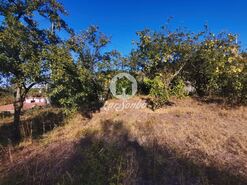 Terreno R�stico - Riba de Ave, Vila Nova de Famalic�o, Braga - Miniatura: 8/10