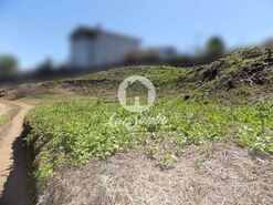 Terreno R�stico - Vila Nova de Famalic�o, Vila Nova de Famalic�o, Braga - Miniatura: 2/3