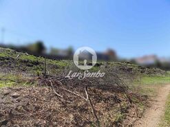 Terreno R�stico - Vila Nova de Famalic�o, Vila Nova de Famalic�o, Braga - Miniatura: 3/3
