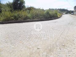 Terreno R�stico - Macieira da Maia, Vila do Conde, Porto - Miniatura: 5/8