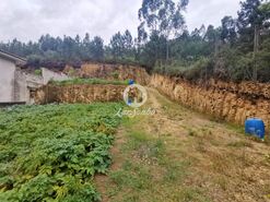 Terreno R�stico - Vila Nova de Famalic�o, Vila Nova de Famalic�o, Braga - Miniatura: 6/8