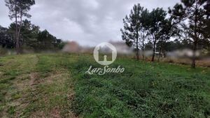 Terreno R�stico - Modivas, Vila do Conde, Porto - Miniatura: 3/6