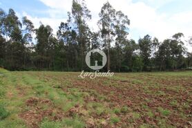 Terreno R�stico - Balazar, P�voa de Varzim, Porto - Miniatura: 4/6